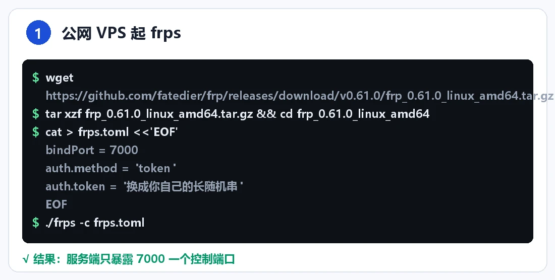 步骤 1:公网 VPS 起 frps