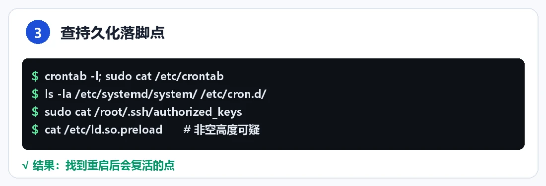步骤 3：查持久化